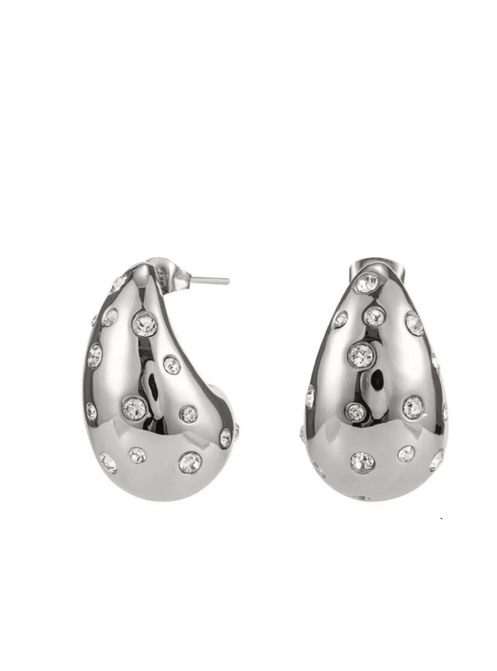 Tear Earrings Steel