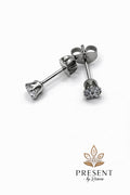 Diamond Steel Earrings