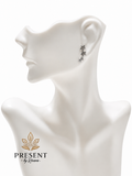 Star silver earrings
